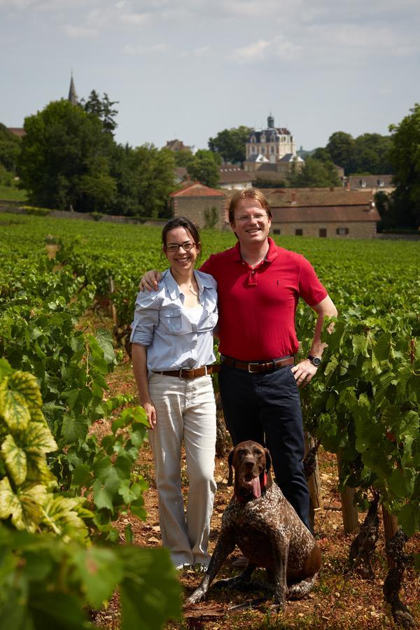 Chateau Saint-Michel - Cercle Des Grands Crus Rully  Екстер'єр фото